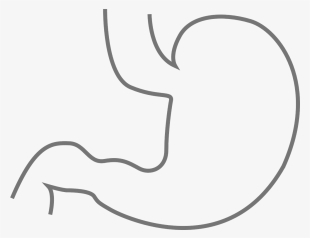 Stomach - Stomach Black And White