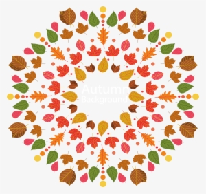 Ornament Motif Islamic Geometric Patterns Pattern - Patterns To Colorful