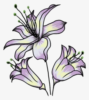 Flower Garden Drawing Watercolor Painting Art - Drawing