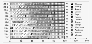 Representación Gráfica De Los Porcentajes De Las Distintas