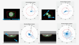 The Main Movement Of Each Shape Is Shown By The Big