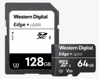 Connected Home Edge Sd & Microsd Cards