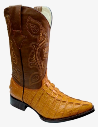 Bulldog Cola De Cocodrilo