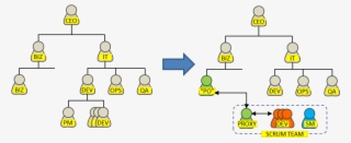 Functional Organization To Scrum Teams