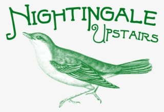 Nightingale Png