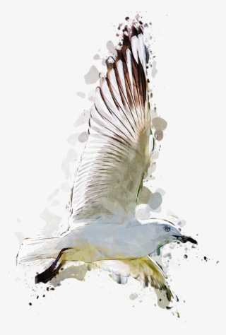 Click And Drag To Re-position The Image, If Desired