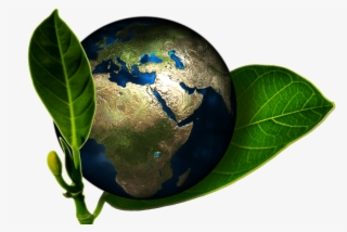 How To Go Green With Your Septic System