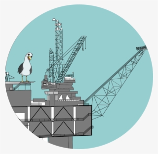 Stephen Seagull Interviews Rig2reef