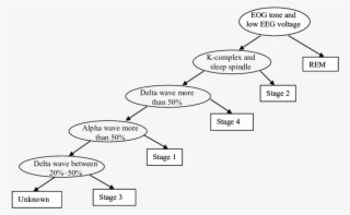 Decision Tree Generated From The Rules Given By The