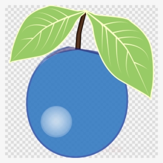 Blue Berry Png Clipart American Muffins Blueberry Pie