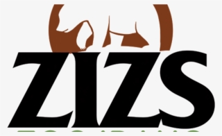 Zizs Graphic Identity