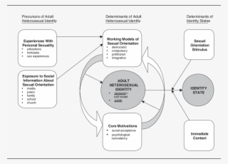 Components Of The Proposed Model Of Adult Heterosexual