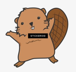 Beaver Animals