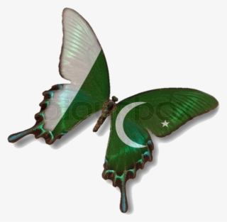 Effacts Png For 14th August By Haniya Ali