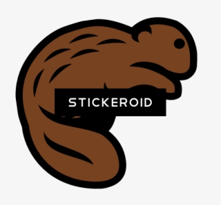 Beaver