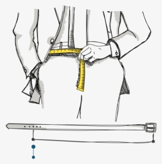 The Measurement Of Your Waist Corresponds To The Length
