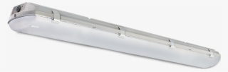 Illumina® Bs100 Led