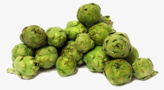 Artichokes Png Image