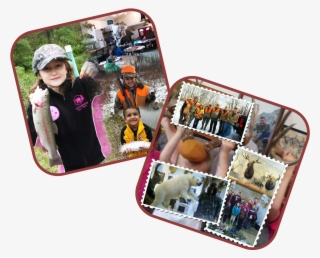 Wwm Index Collage