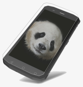 The Gator 5 Is Ip68 Certified Which Means That It Can