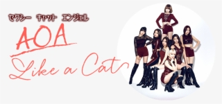 セクシーキャットエンジェル Aoa｢like A Cat｣