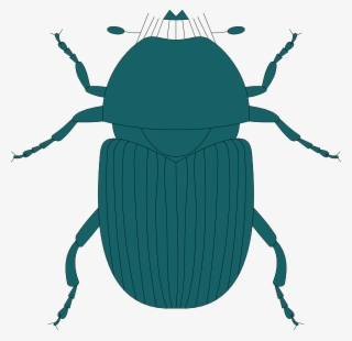 Green Beetle