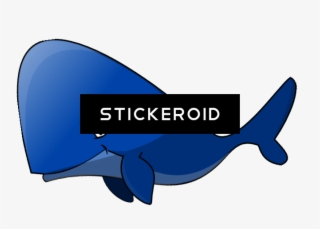 Blue Whale