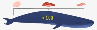100 Blue Whales