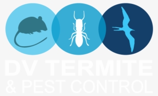 Diamond Valley Termite And Pest Control