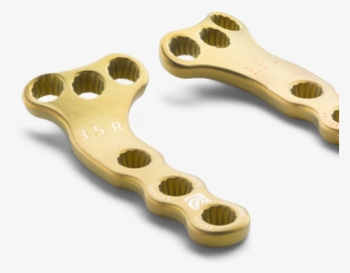 Pax Tplo Plates