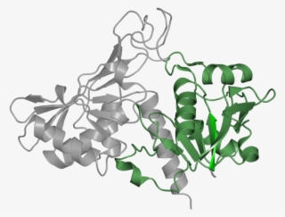 <div Class='caption-body'>1 Copy Of Pfam Domain