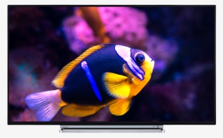 65" Toshiba Ultra Hd Tv Front