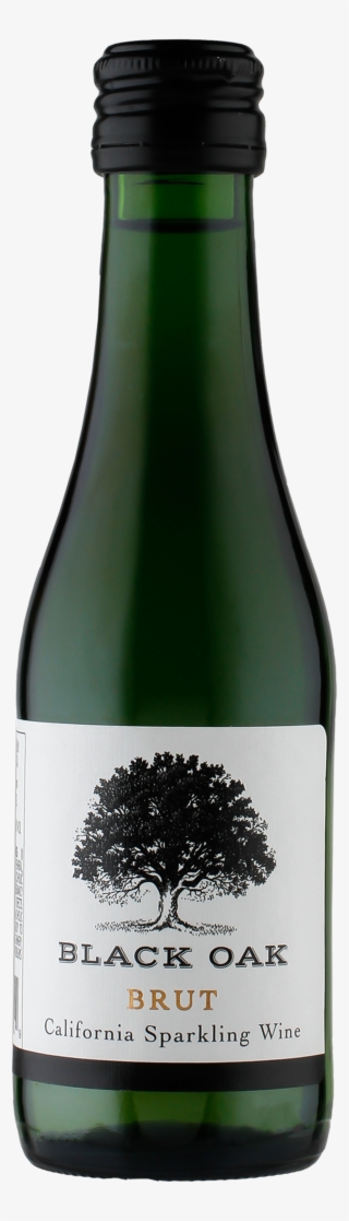 Bottle Download