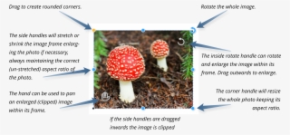 Drag To Create Rounded Corners