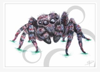 Spider Inkling