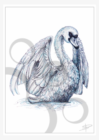 Swan Inkling