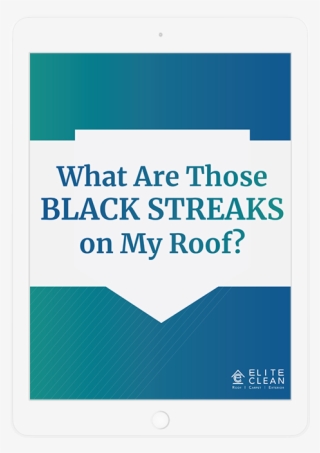 Black Streaks On Your Roof
