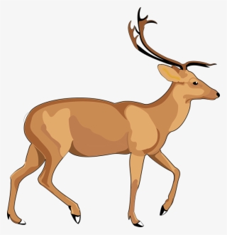 Elk Png
