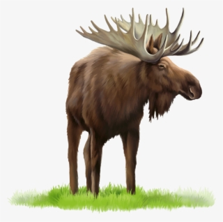 Free Png Elk Png Images Transparent
