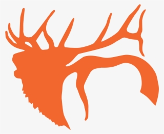 Elk