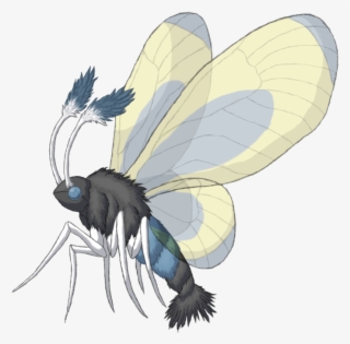 Bug Pokemon Shiny Mothim