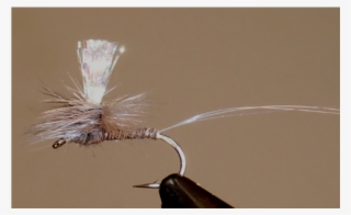 Grey Crystal Drake