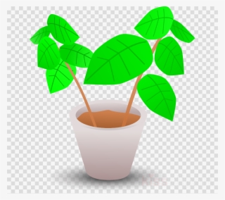 Plant In Pot Clipart Flowerpot Clip Art