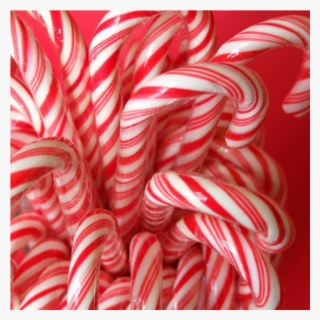 Sweetz Red And White Candy Canes 72 Nos X12 Gms Pack