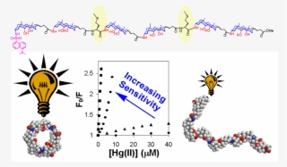 Membrane Transporters And Nanopores
