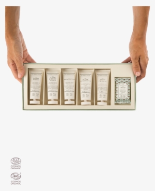 The Travel Basics, The Rerum Natura