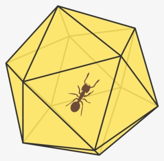 Details And Assumptions