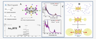 The Bi Icosahedron Structure Leading To Splitting Of