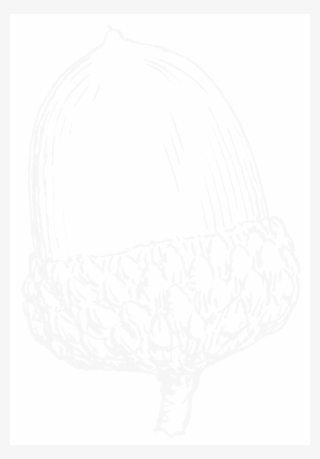 Png Acorn