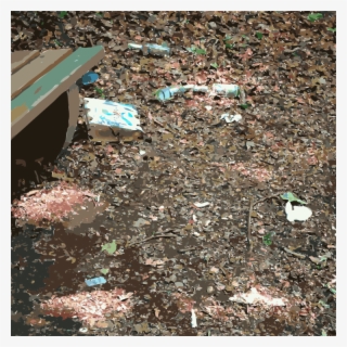 Waste Forest Litter Park Compost